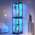 Glass Display Cabinet with Doors, Bookcase by TAGELIER