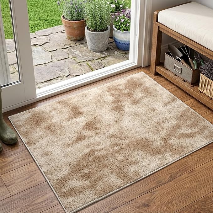 2x3 Tie-dye Beige Area Rug Washable Non-Slip Soft by Unknown