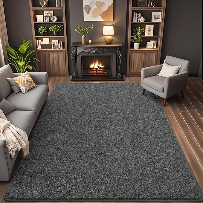 4x6 Area Rugs for Living Room Non Slip Bedroom Rug, Minimalist Washable Indoor by AROGANAREARUG