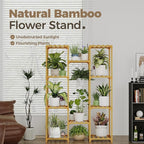 Bamworld Bamboo Plant Stand Indoor Hanging Plants Shelf - Image 2