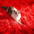Soft Modern Red Area Rug, 4x6 Feet, Shaggy Indoor Rug - Image 5