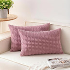 Aegero Pack of 2 Corduroy Decorative Throw Pillow Covers 12x20 Inch by Unknown