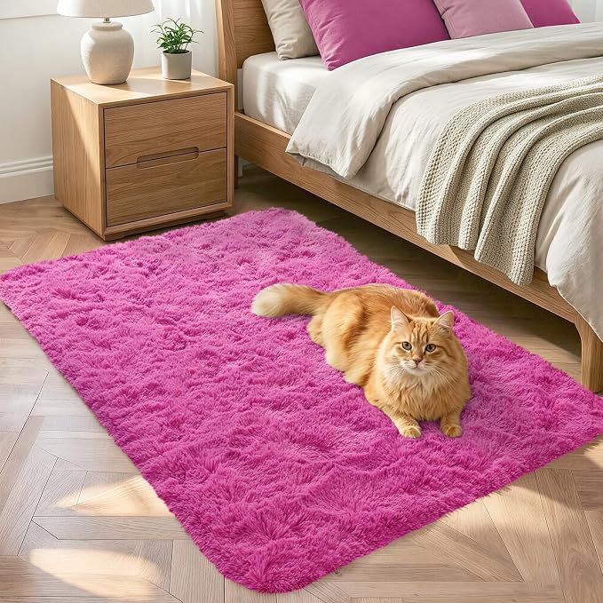 Noahas 2x3 Hot Pink Fluffy Soft Area Rug Non-Slip by ModernHomeDecor