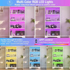 knoworld Display Cabinet with Glass Doors, 4-Tier Glass Display Case with 15mm - Image 4