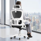 Ergonomic Office Chair, High Back Desk Chair by HeroSet