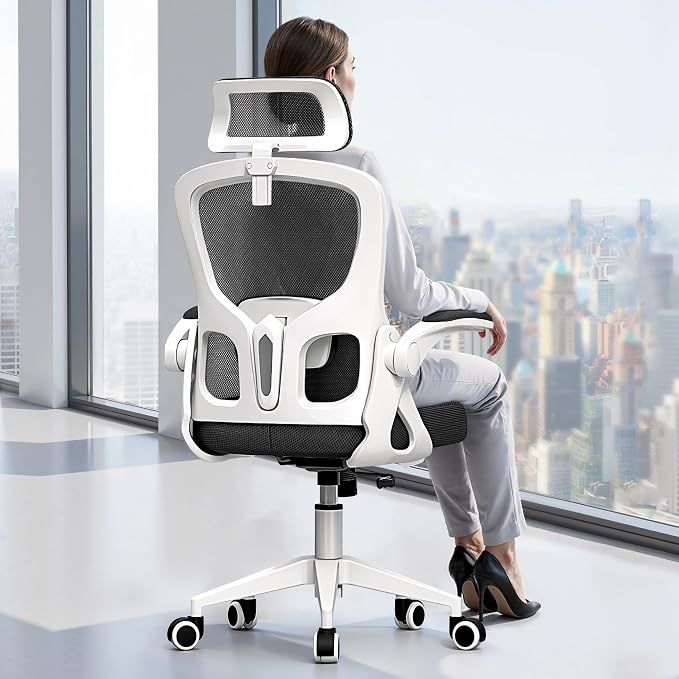 Ergonomic Office Chair, High Back Desk Chair by HeroSet