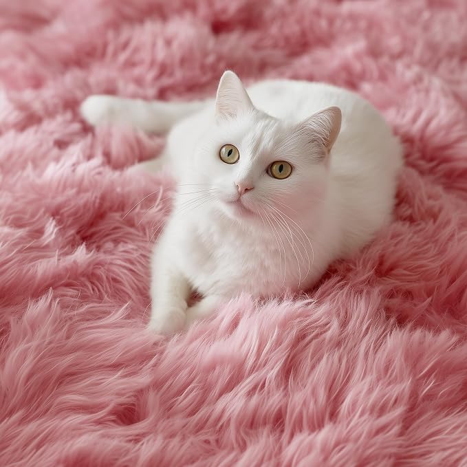 Blush Pink Fluffy Shag Area Rugs - Image 8