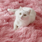 Blush Pink Fluffy Shag Area Rugs - Image 8