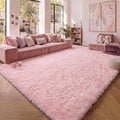 Pink 6x9 Area Rugs for Living Room Bedroom, Large Fluffy Bedside Throw Rug by ONASAR