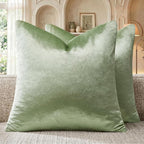 GIGIZAZA Sage Green Velvet Throw Pillow Covers 20x20 Pack of 2 | Decorative by GIGIZAZAFocusingonhomedecoration