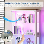 HNEBC Glass Display Cabinet - Image 6