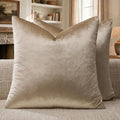GIGIZAZA Taupe Velvet Pillow Covers 20x20 Decorative Pillows Pack of 2 | by GIGIZAZAFocusingonhomedecoration