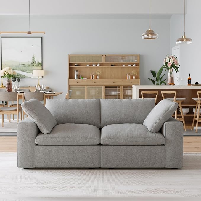 JACH Modular Sectional Couch, Love Seat Sofas, Modern Convertible Cloud Couch by JACH