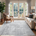 4x6 Ft Area Rugs for Living Room, Soft Non-Slip Washable Rugs Modern Abstract by Cuzwlovita