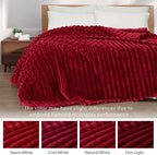 Exclusivo Mezcla Striped Fleece Throw Blanket - Image 3