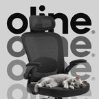 Oline ErgoAir Ergonomic Office Chair – Adjustable Lumbar Support, Flip-Up - Image 8