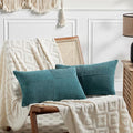 Fancy Homi 2 Packs Teal Lumbar Decorative Throw Pillow Covers 16x26 Inch by Fancy+Homi