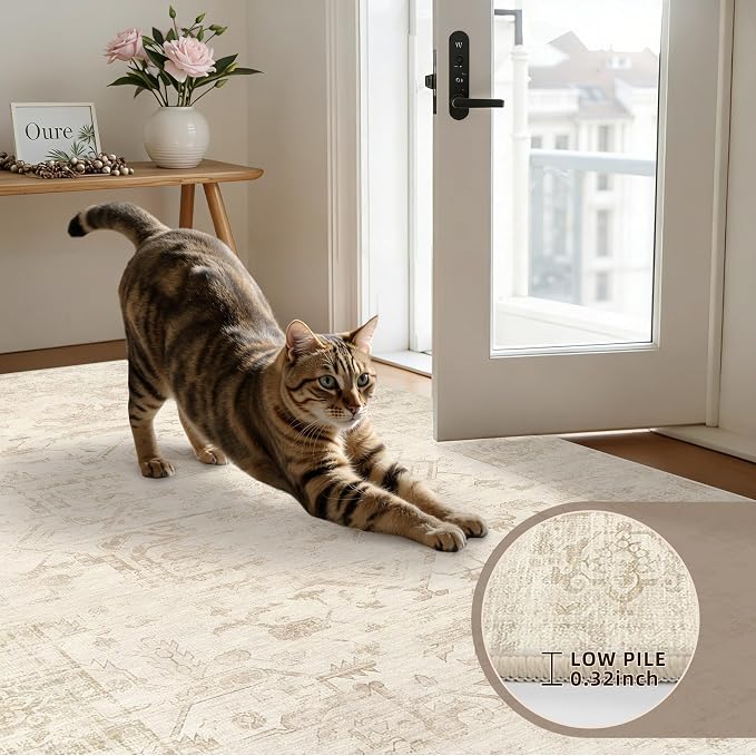 4x6 Area Rugs Living Room: Bedroom Washable Carpet Beige/Brown | Large Vintage - Image 7