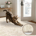 3x5 Area Rugs Living Room: Bedroom Washable Carpet Beige/Brown | Large Vintage - Image 7