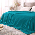 BEDELITE Fleece Blanket Soft Plush Queen Size Bed Blanket Teal Blue 90"x90" | by BEDELITE