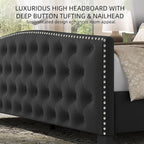 BRELTAM Upholstered Queen Size Bed Frame Velvet Tufted Platform Bed Frame - Image 4