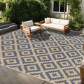 SAND MINE Reversible Mats, Plastic Straw Rug, Modern Area Rug, Large Floor Mat by SANDMIND