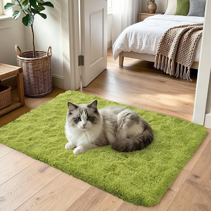2x3 Green Fluffy Soft Area Rug Non-Slip - Image 2