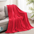 BEDELITE Fleece Blanket Soft Plush Throw by BEDELITE