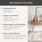 2x4 Boho Runner Rug, Neutral Farmhouse Entryway Rugs, Small Throw Runners - Image 7