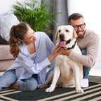 Lahome Enfys Modern Geometric Easy Jute Outdoor Rug, 3x5 Black Indoor Outdoor - Image 6