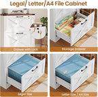 SEDETA 2 Drawer File Cabinet - Image 4