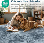 8x10 Ft Large Area Rugs for Living Room, Soft Non-Slip Washable Rugs Modern - Image 5