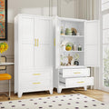 GAIOUS Steel Pantry Cabinet, 2 Adjustable Shelf and 2 Drawers, Freestanding by GAIOUS