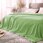 BEDELITE Fleece Blanket Soft Plush Queen Bed Blanket Grass Green 90"x90" | by BEDELITE