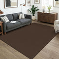 KOZYFLY Washable 5x7 Living Room Rug, Non Slip Woven Area Rugs, Braided Floor by KOZYFLY