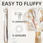 Natural Pampas Grass 8kind Grass Mix Bouquet | Dried Pampas Bouquet - Image 5
