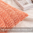 Aegero Pack of 2 Corduroy Decorative Throw Pillow Covers 18x18 Inch - Image 2