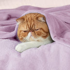 Bedsure GentleSoft Twin XL Fleece Blanket Dorm Bedding - Image 2