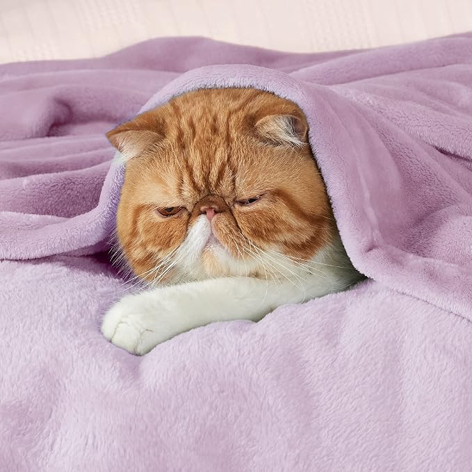 Bedsure GentleSoft Fleece Blankets King Size Lilac Lavender - Image 2