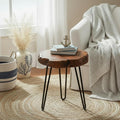 WELLAND Unique Shape Date Tree End Table Live Edge Side Table Plant Stand by WELLAND