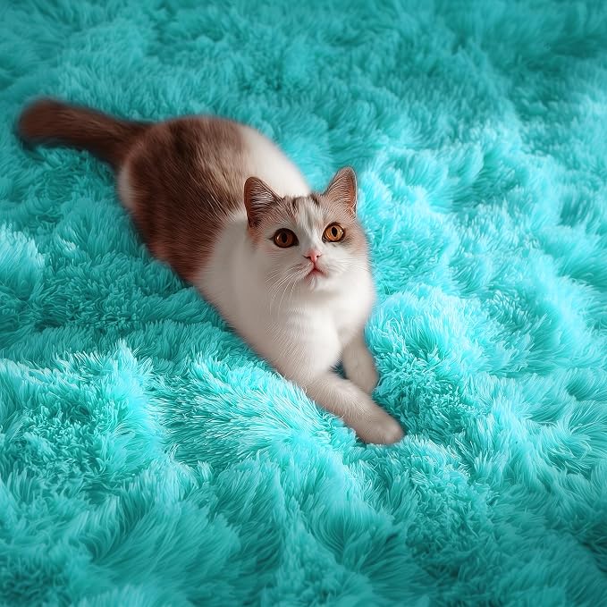 Fluffy Shag Teal Area Rugs for Bedroom 5x7 Fuzzy Shaggy Rug for Living Room | - Image 2