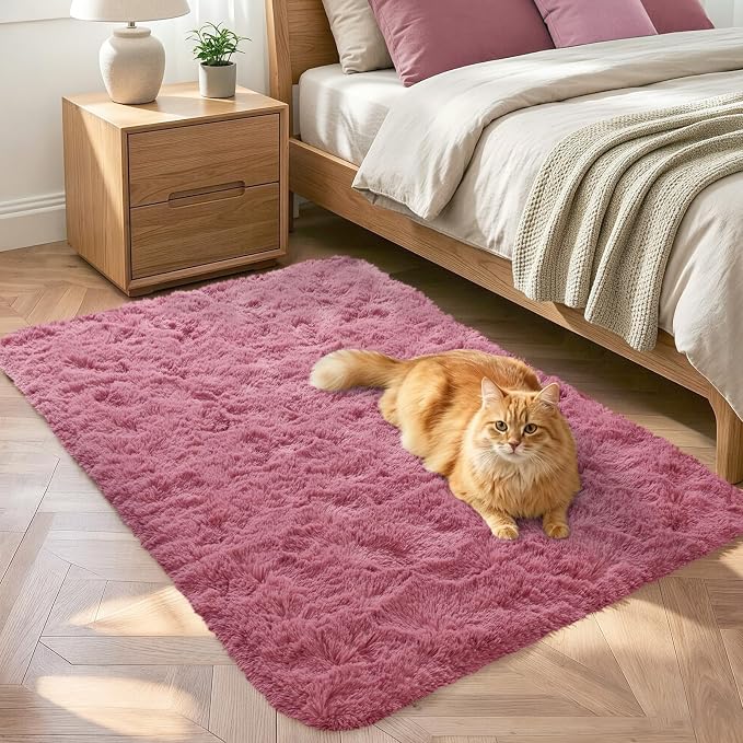 2x3 Blush Fluffy Soft Area Rug Non-Slip by ModernHomeDecor