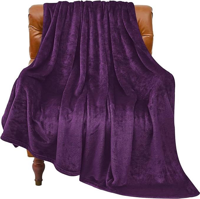 BEDELITE Fleece Blanket Soft Plush Twin Size Blanket Purple 60"x80" | Ultra by BEDELITE