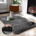 Ashler Faux Fox Fur Rug, 2x3 FT Rectangle Rugs, Ultra Soft Shaggy Area Rugs by AshlerHomeDeco
