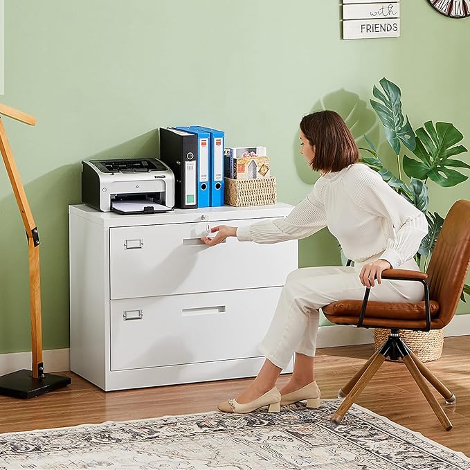 Letaya 2 Drawer Metal Filing Organization Office Cabinets - Image 2
