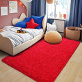 Pionblank Fluffy Area Rug for Bedroom 4x6 Feet, Indoor Plush Carpet, Cute Comfy by PIONBLANK