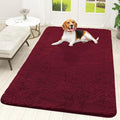 OLANLY Dog Door Mat for Muddy Paws 59x35, Super Absorbent Chenille Mud Mat | by OLANLY