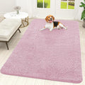 OLANLY Dog Door Mat for Muddy Paws 70x46, Super Absorbent Chenille Mud Mat | by OLANLY