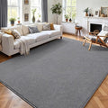 6x9 Area Rugs for Living Room Non Slip Dorm Bedroom Rug, Minimalist Washable by AROGANAREARUG