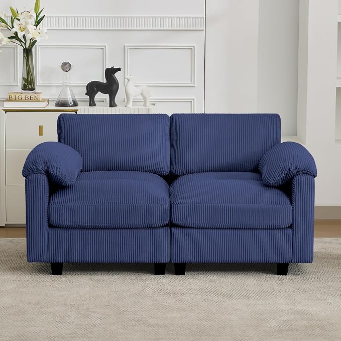 61'' Modular Loveseat Sofa, Extra Deep Seat Cloud Couch by HATPPTO